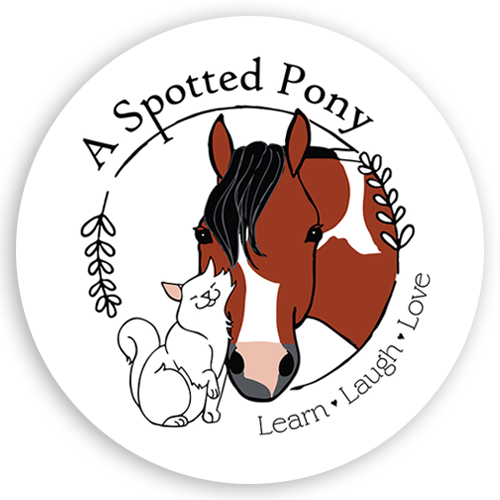 A Spotted Pony